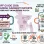 US Tariff Guide for Bangladesh Garment Imports (2026) – What Buyers Must Know Before July 24