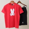 Psycho Bunny Premium Mens Summer Set Wholesale Bangladesh Psycho Bunny Premium Mens Summer Set Wholesale Bangladesh