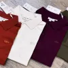 Men's Classic Premium 240+ GSM Cotton-Spandex Polo Shirt — Wholesale Bangladesh