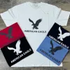 American Eagle Men's Premium Stylish Round Neck Short Sleeve T-Shirt Wholesale Bangladesh American Eagle Men's Premium Stylish Round Neck Short Sleeve T-Shirt Wholesale Bangladesh