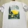Men's Premium Multi-Design Drop Shoulder T-Shirt (S–3XL) — Wholesale Bangladesh