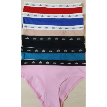 Alo Ladies Premium Panty 6pcs Box Wholesale Bangladesh