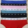 Alo Ladies Premium Panty 6pcs Box Wholesale Bangladesh