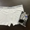  Calvin Klein Men's Boxer Wholesale - Everywear Bangladesh Ltd