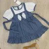 Girls' Premium Fancy Cotton Frock (8 Colours, 2–13 Years) — Wholesale Bangladesh